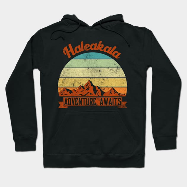 Haleakala family camping father son. Perfect present for mother dad friend him or her Hoodie by SerenityByAlex